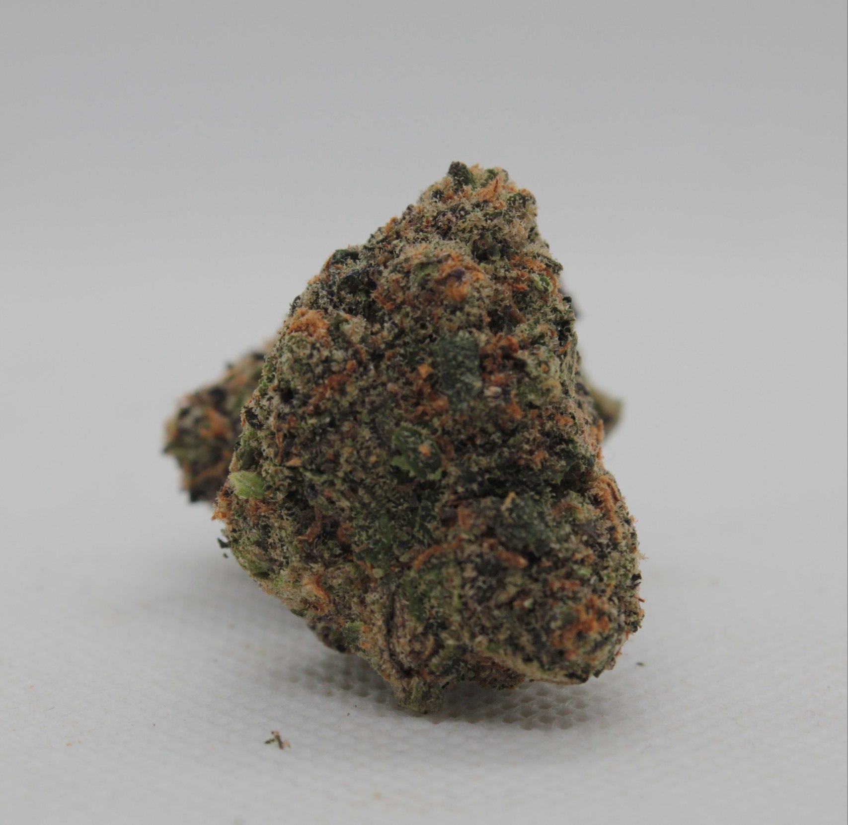 Durban Kush x Kush Cane