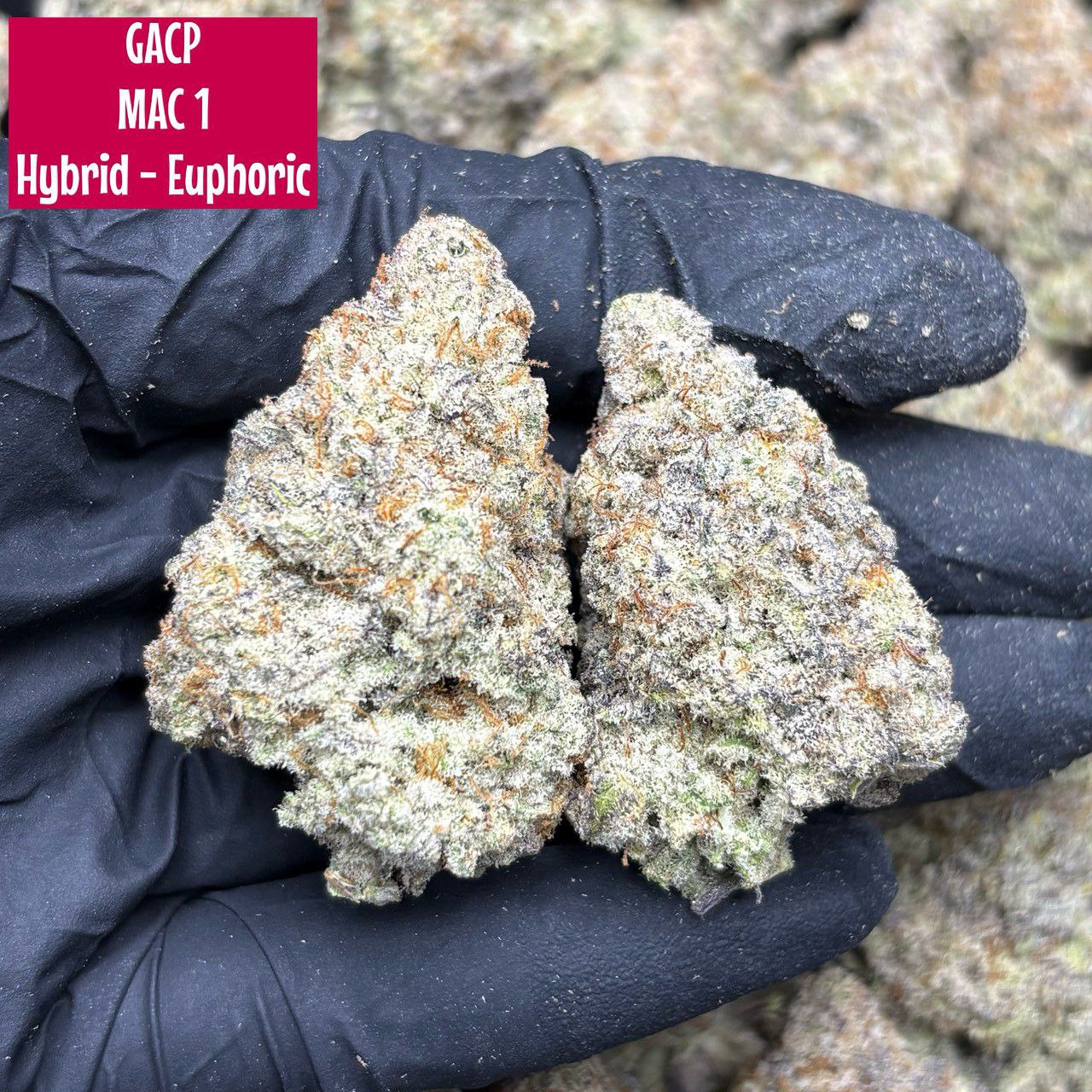 Mac1 (Miracle Alien Cookies)