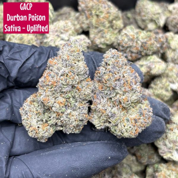Durban Poison